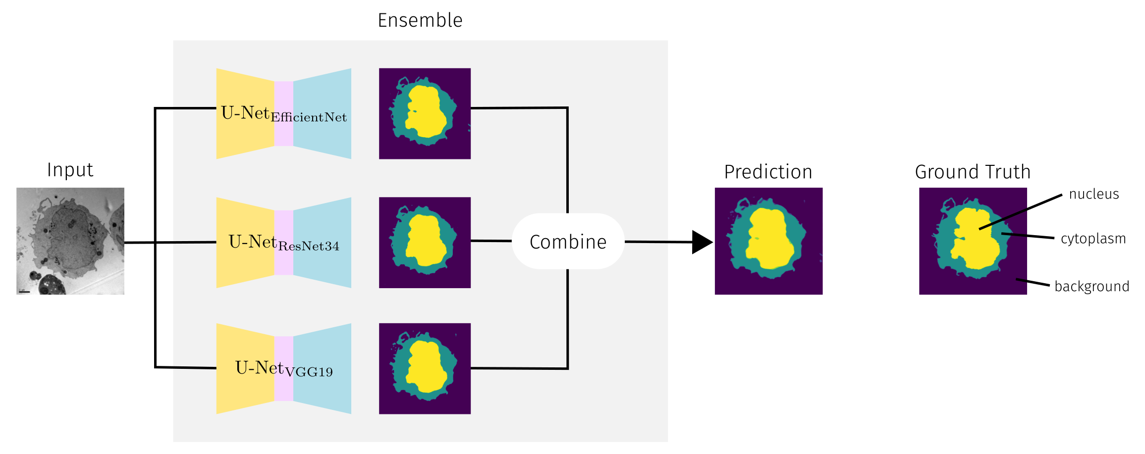 Depiction of ensemble model