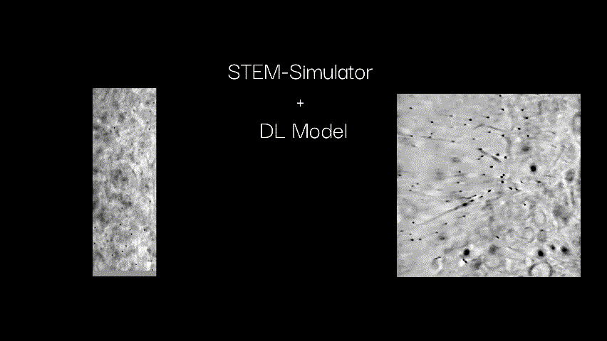 Depiction of the tomographic reconstruction. (Show tilt series, model, reconstruction of Nanoparticles)